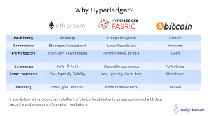 Thanks to cryptocurrency, people no longer need to trust banks to handle their money and private information (that's the same. Hyperledger Fabric Archives Page 6 Of 25 Hyperledger