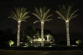 Have A Cheesy Christmas With Little Black Boots Outdoor Christmas Lights Christmas Lights Palm Tree Christmas Lights