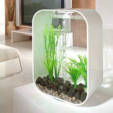 pubpages has been retired aquariums jardins aquaponie