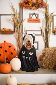 Awesome diy halloween decor ideas you can try this year. 36 Best Halloween Party Themes 2021 Fun Halloween Party Ideas
