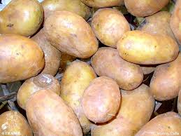 Image result for Solanum tuberosum