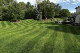 Pin On Gardening For Beginners
