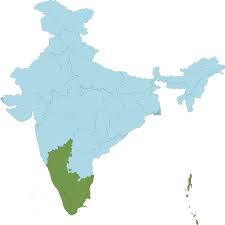 Image result for Leptonychia