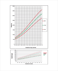 Unborn Baby Growth Chart Template 5 Free Excel Pdf