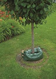 Check spelling or type a new query. 220 Trees Shrubs And Plants For Wyoming Ideas Plants Shrubs Planting Flowers