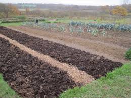 No till gardening or no dig gardening is a gardening method many people use to create organic gardens. Preparing For The Winter Without Digging Sissinghurst Garden