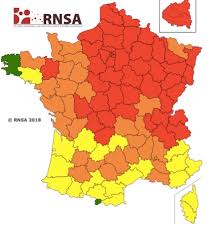 Cette allergie se manifeste par des rhinites, conjonctivites, toux, notamment à la fin du mois d'août et les personnes sensibles aux pollens d'ambroisie présentent des symptômes comme : Allergie La Carte De France Est Presque Rouge Pour Le Pollen De Bouleau