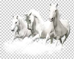 Horse Png Clipart Animal Animals Black And White Computer Monitors Decorative Patterns Free Png Download Polish your personal project or design with these horse transparent png images, make it even more personalized and more attractive. horse png clipart animal animals