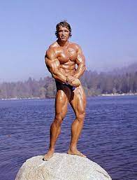 Joseph baena (22), der sohn von arnold schwarzenegger (72), zeigt sich auf instagram von seiner starken seite. Arnold Schwarzenegger Posing Fitnish Com