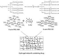 The chemical structures of the 6-arm PEG- AM and 6-arm PEG ...