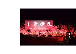 FC2 PPV 3166039 Clear air and the best beauty again. Please see the  shocking 3P. Sakura 18 - JAV HD Porn