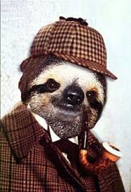 Happy Birthday Karel Cute Baby Animals Cute Animals Sloth