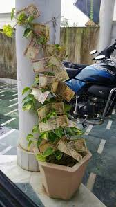 Instead of calling it the john i'm going to start calling my bathroom the jim. Money Plant Plants Money Plant Vegetables