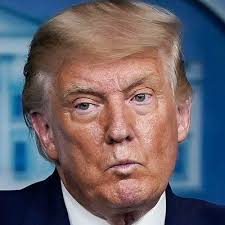 Conservatives: Trump Must Steal Election to Block Biden Plot