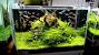 Homemade Fish Tank Decoration Idea