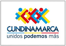 ÓRGANOS CONSULTIVOS DEPARTAMENTALES