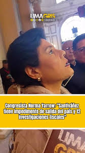 El proxeneta ilustrado. Un informe sobre el caso del catedrático Manuel Rilo  Podestá y su relación con el circuito cultural limeño.  https://limagris.com/el-proxeneta-ilustrado-video/