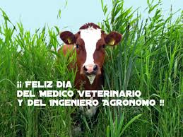 Resultado de imagen para dia del veterinario e ingeniero agronomo