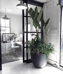 The Duty Of Houseplants For Healthy Interior Climate Is Indisputable Potted Plants Supply A Vibrant Environment Tree Interior Interior Plants Office Interiors