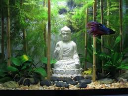 Betta Fish Tank Setup Ideas That Make A Statement Spiffy Pet Products Fish Tank Themes Pet Fish Betta Fish Tank