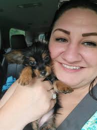 Brought our sweet girl home today. Emerald Rose we love you. 🐾