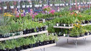 A personal card is included in every order on from you flowers, so you will have an opportunity to share a personal message with each birthday flowers delivery. Tips For Buying The Best Perennial Plants Garden Gate