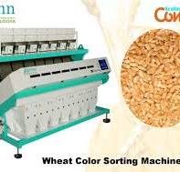 Wheat Color Sorting Machine Manufacturer, Supplier from ...