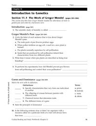 Mendel and basic genetics packet ws answers : Chapter 11 Introduction To Genetics Zimer