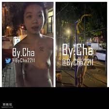 2023-2024年推特大神【查小理】最新作品（磁力） - 国产视频- 司机社