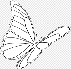 Butterfly silhouette drawing stencil black and white monarch butterfly butterflies and moths png background hd png. Monarch Butterfly Drawing Insect Red Butterfly Angle White Png Pngegg