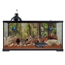 Thrive Temperate Reptile Terrarium Essentials Kit 40 Gallon Reptile Terrarium Reptiles Jw Pet