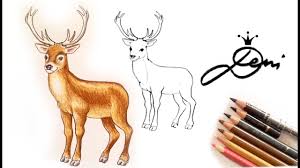 Alpaka Baby Zeichnen Lernen Mit Buntstiften How To Draw An Alpaca With Coloured Pencils Youtube