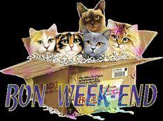 Résultat de recherche d'images pour "gifs bon week end animé"