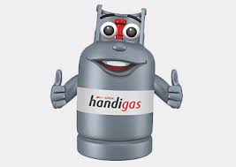 Each of these types of fuels have both similarities and differences. Home Wisdomgas