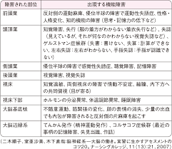 脳梗塞に関するqa 看護roo カンゴルー アテローム 大脳辺縁系 神経細胞