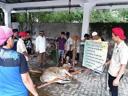 We did not find results for: Kebun Binatang Bangabeng Sergai Pd Pembangunan Menyerah Medan Zoo Diserahkan Ke Pemko Satu Meter