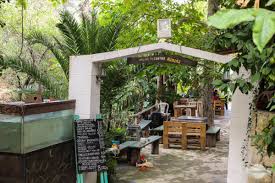 © 2021 ren plaza lietuva by mb ren grupė, lukiškių g. Die Myli Schlucht Das Tal Der Muhlen Auf Kreta