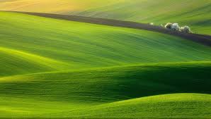 Nature 1080p, 2k, 4k, 5k hd wallpapers free download, these wallpapers are free download for pc, laptop, iphone, android phone and ipad desktop 50 Beautiful Nature Wallpapers For Your Desktop Mobile And Tablet Hd