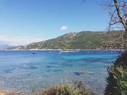 Campomoro Mon Petit Paradis On My Way Propriano Corse Corse Du Sud Plage