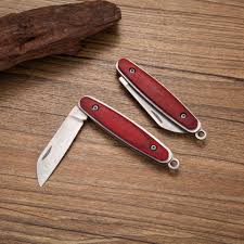 We did not find results for: Mini Pisau Berburu Pisau Saku Lipat Stainless Steel Navaja Kayu Merah Pegangan Alat Tangan Pisau Buah Kayu Gratis Pengiriman Pisau Aliexpress