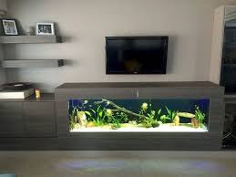 Creative Wall Auarium Designs For Home Decoration And Amazing Room Separator Part 1 Aquarium Design House Interior Wall Aquarium