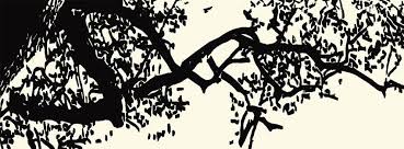 To Kill A Mockingbird...