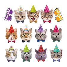 Well this guide to a snappy party is a great idea! Happy Birthday Cats Theme Party Decoration Lovely Pet Carts Party Favors Wall Hanging Bunting Banner Baby Shower Party Supplies Party Diy Decorations Aliexpress