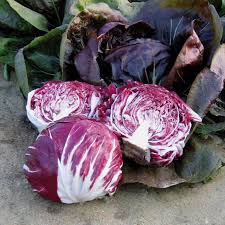 Anbauexperte - Radicchio: Anbau, Pflege, Ernte, Keimdauer & Sorten