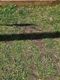 Image result for site:byggahus.se spårbildning