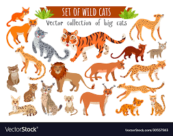 Wild Cats Cartoon Series