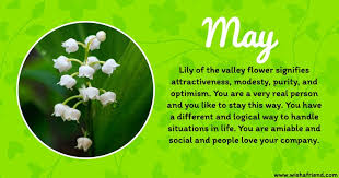 Image Result For Lily Of The Valley Flower Images Birth Flowers Lily Of The Valley Lily Of The Valley Flowers