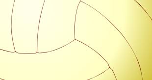 2013 All-conference volleyball selections