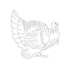 Turkey Line Drawing Stock Illustrations 4 448 Turkey Line Drawing Stock Illustrations Vectors Clipart Dreamstime It can be an excellent starter activity, with drawings completed on large, inexpensive it allows students to practise using these techniques and to apply tone to a range of simple geometric objects. turkey line drawing stock illustrations