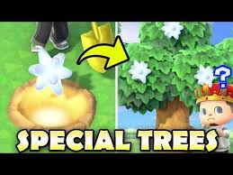 What Can You Grow On Special Trees Animal Crossing New Horizons Youtube Animal Crossing Animal Crossing Music New Animal Crossing